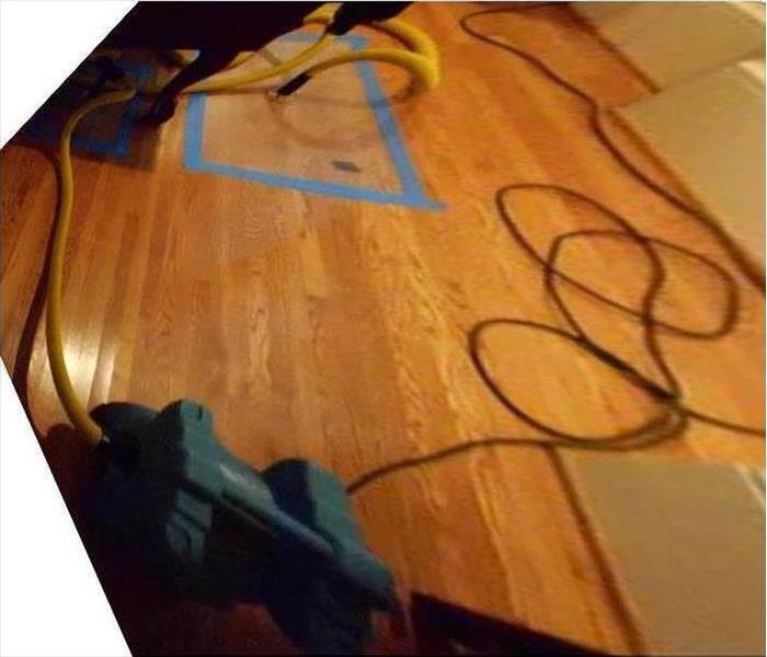 water damaged hardwood floors