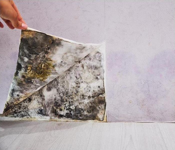 hand pulling wallpaper away revealing mold