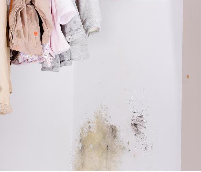 mold growing in closet wall; children's clothes hanging on rack