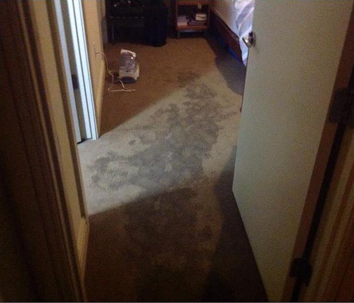 entrance to a bedroom with water soaking the carpet